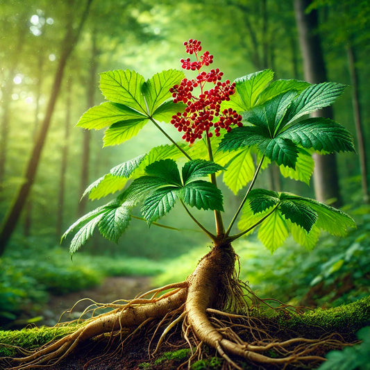 Database Entry: Ginseng (Panax ginseng)