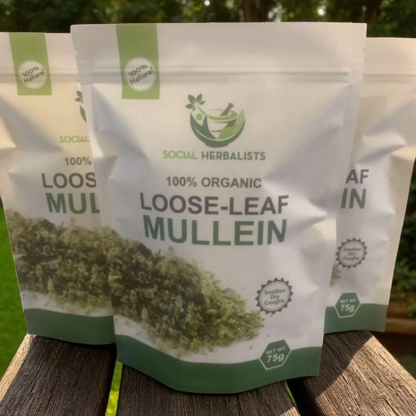 Loose-Leaf Mullein