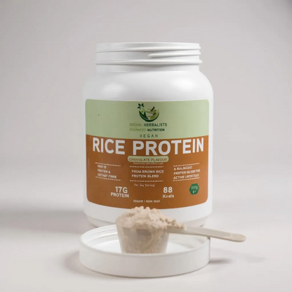 Advanced Nutrition - Rice Chocolate Protein